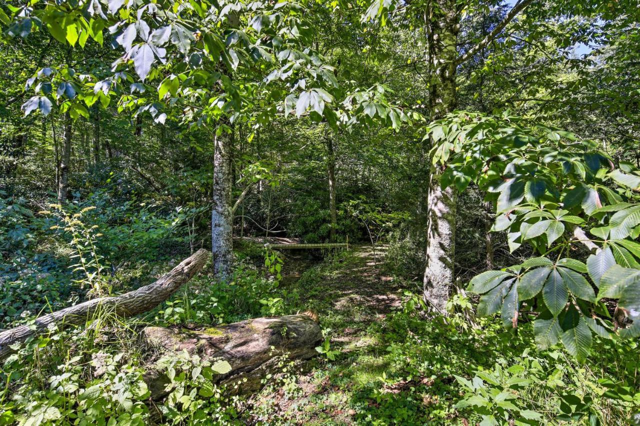 Dog-Friendly Cabin, 9 Mi To Sugar Mountain Resort Banner Elk Εξωτερικό φωτογραφία